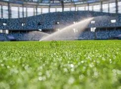 利物浦连胜,势头强劲,五场胜利,谈球吧官网,谈球吧网页版,谈球吧官网入口,谈球吧官网,谈球吧首页