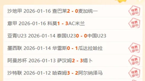 网球联合杯四强角逐结果公布。